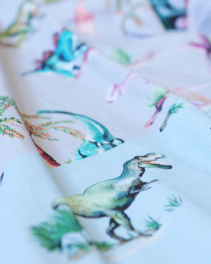 Dinosaurs Fabric