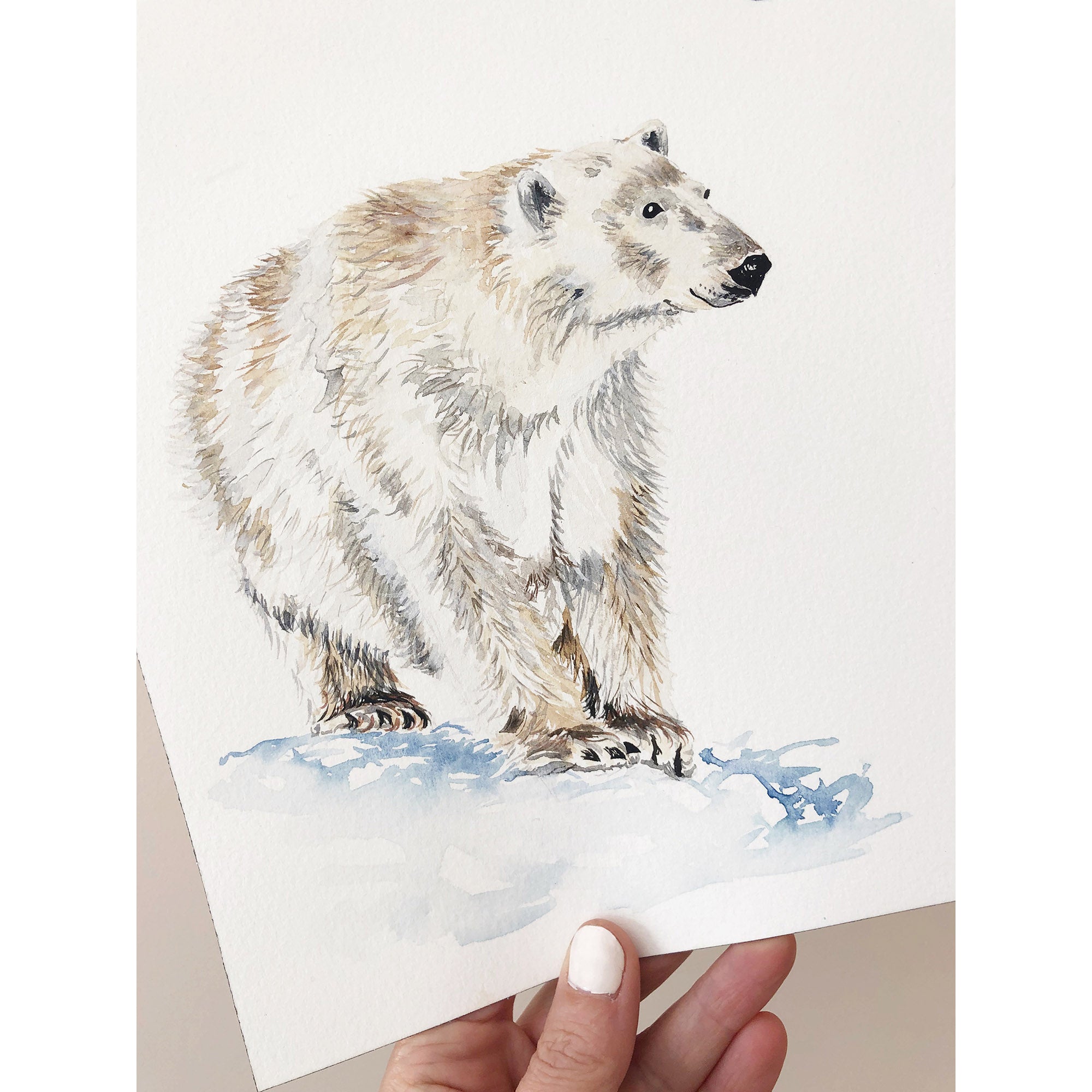 Polar Bear Art