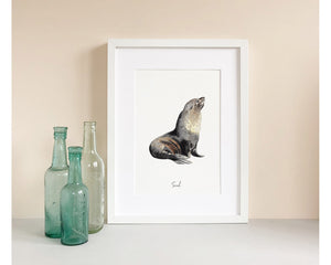Seal Art Print
